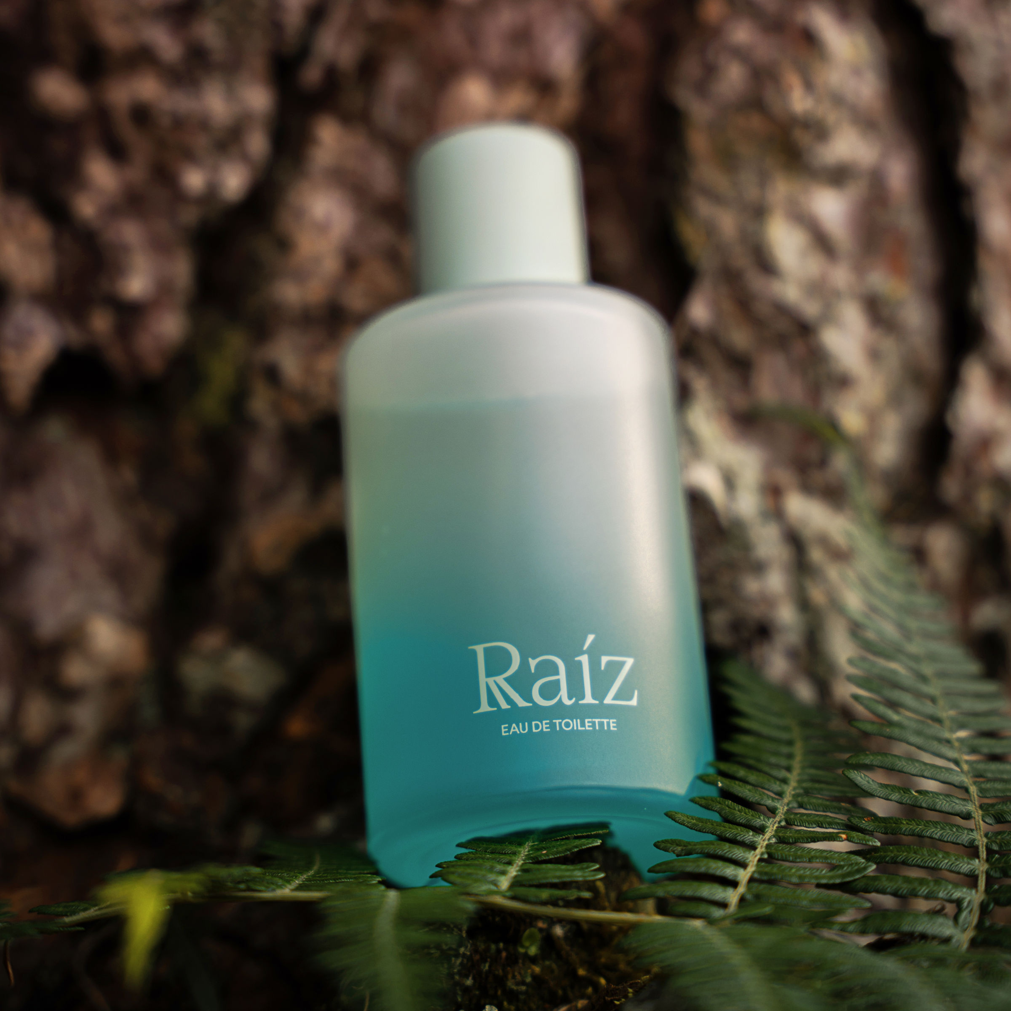Perfume Raíz hombre | Eau de Parfum 100 ml