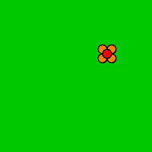 random flowers