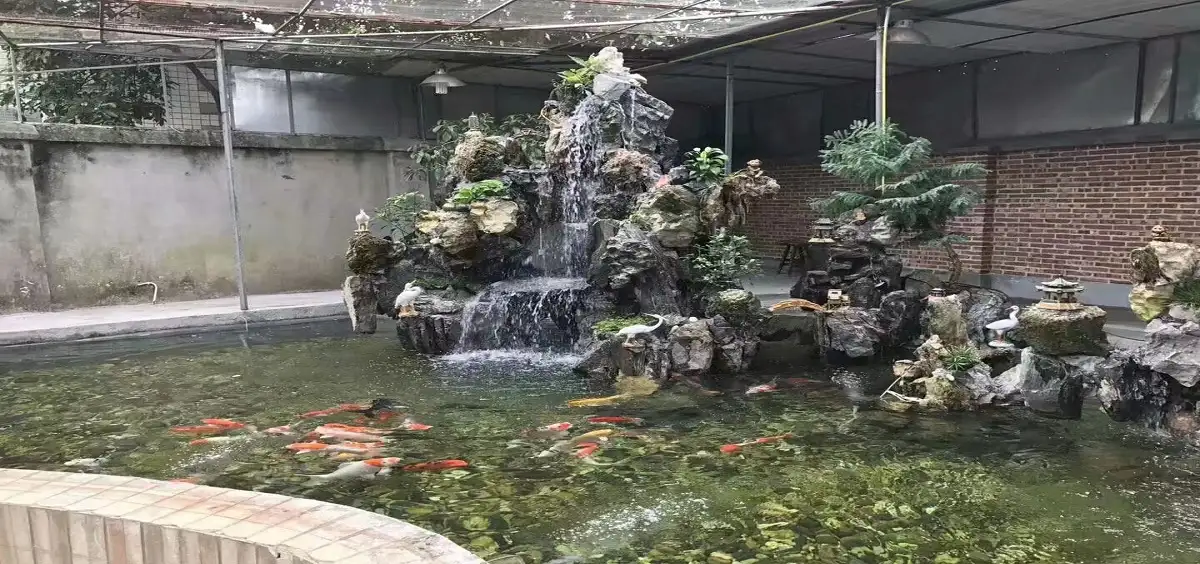 福州閩侯水池假山景觀工程