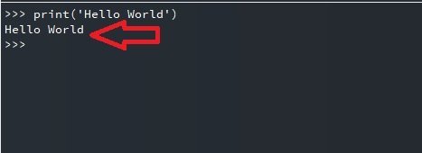 shell console output micropython esp32 esp8266