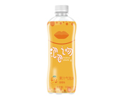 ����֮�ǹ�֭����ˮ���ζ500ml
