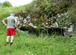 Toyu ‘nettle entrance’ feature Toyu ‘nettle entrance’ feature