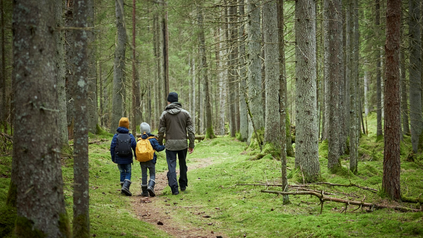 En man går i en skog tillsammans med två barn , de går in i skogen bortvändra från kameran. alla tre är fritidsklädda.