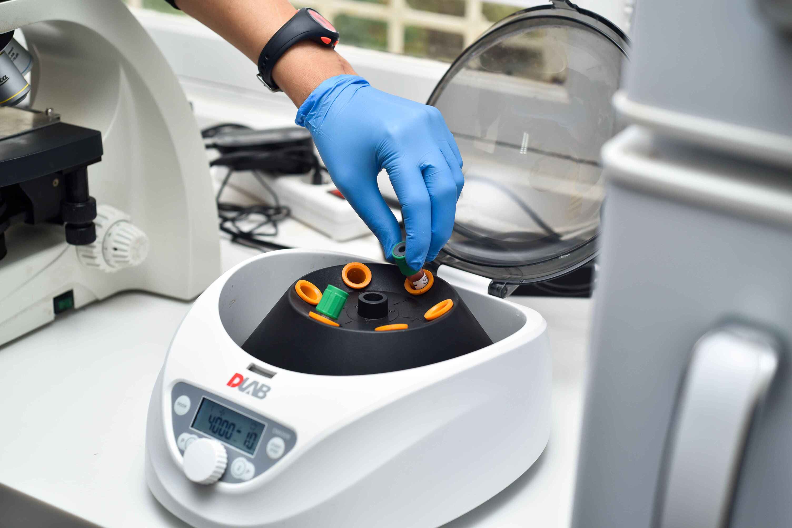 laboratoire-vétérinaire