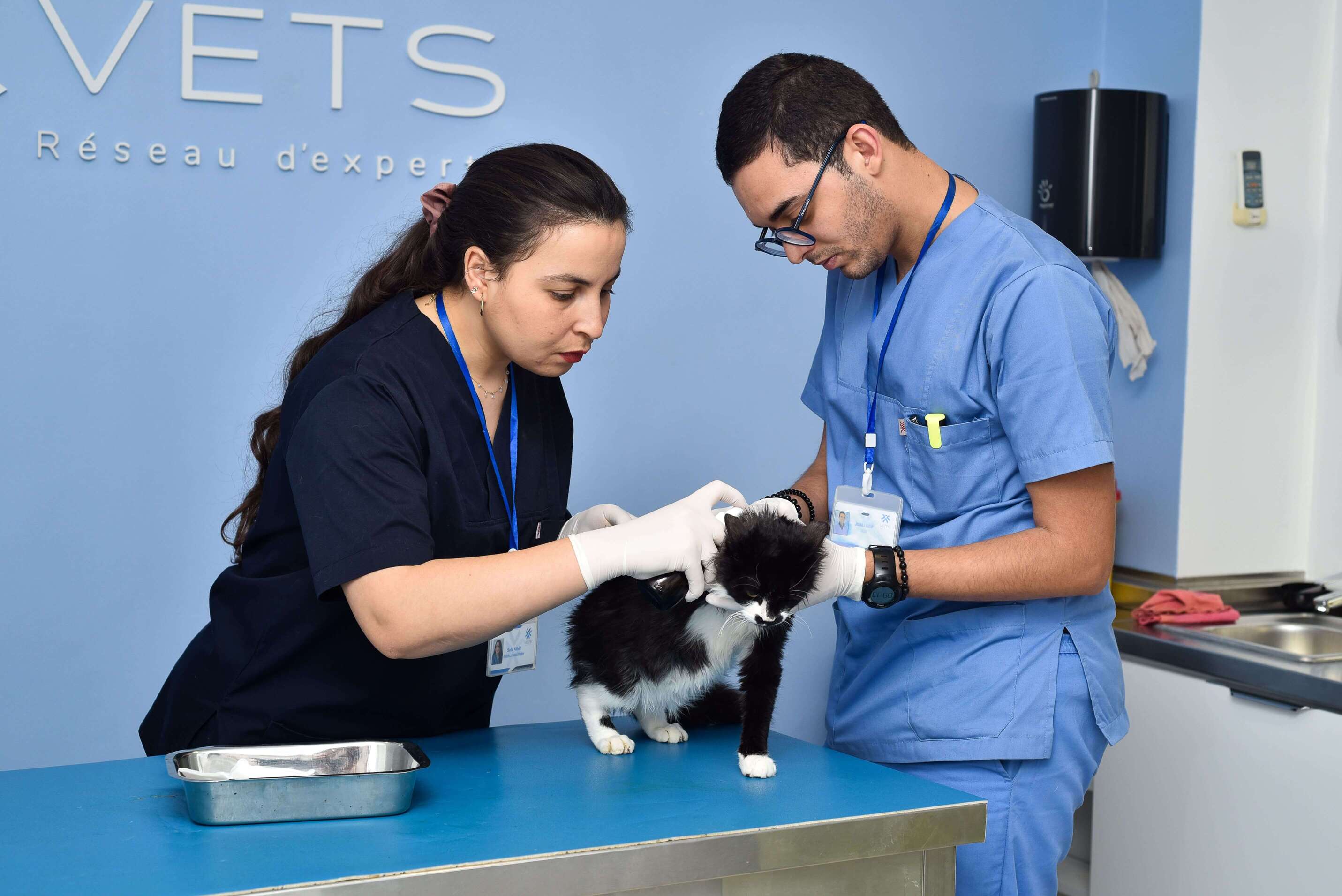 soins-veterinaires-chat