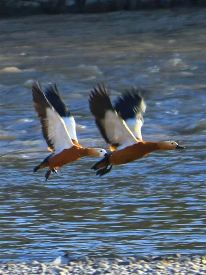 00300148435_7915d913.jpg