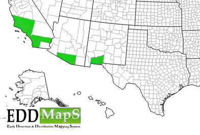 onionweed_map 5 onionweed_map 5