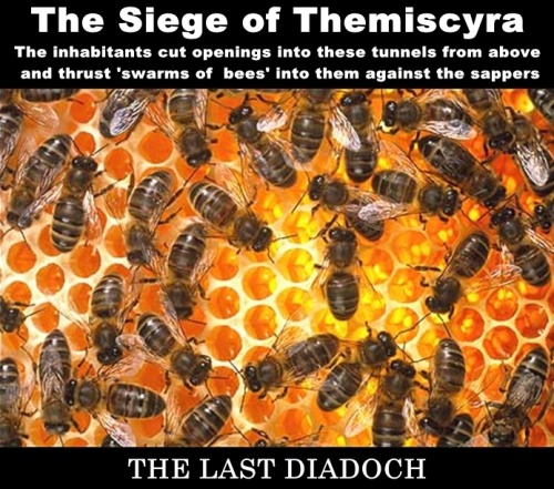 The Siege of Themiscyra and Bees used in defense
Third Mithridatic War, 72 AD
Mithridatic Wars
After losing 2 wars against Rome, a 3rd arose after a rival kingdom in western Anatolia (Turkey), Bithynia, granted their lands to Rome upon King Nicomedes...