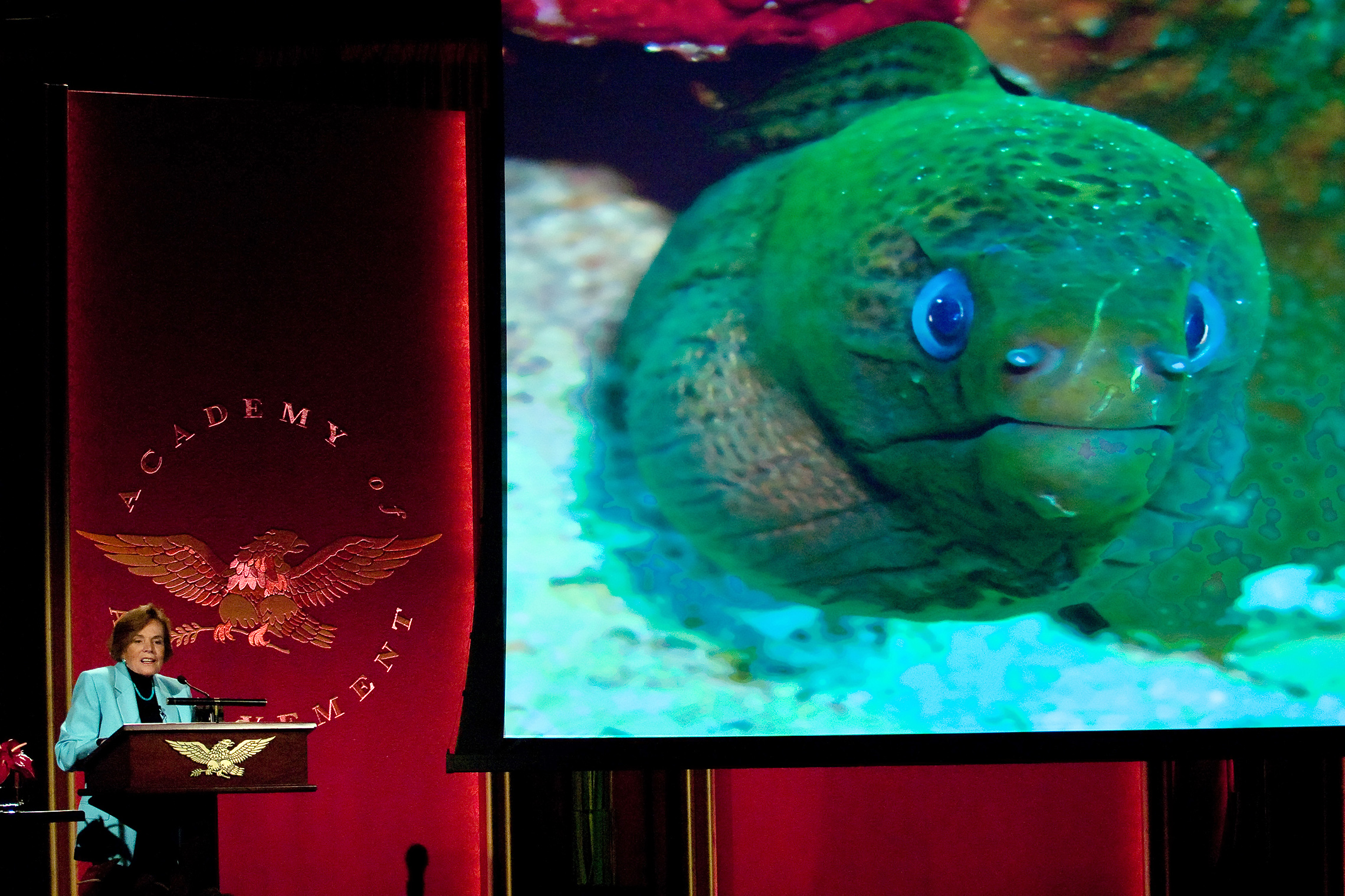 Dr. Sylvia Earle shares her amazing images of creatures in the deep ocean.
