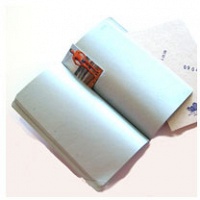 Bernhard Cella: Travel Journal