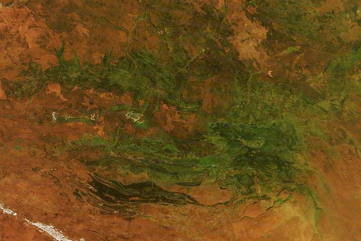 Central Australia’s desert landscape shows widespread green vegetation across areas that are typically red.
