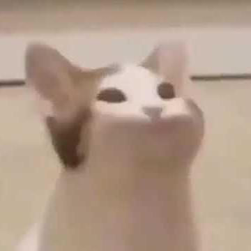@patito-mary