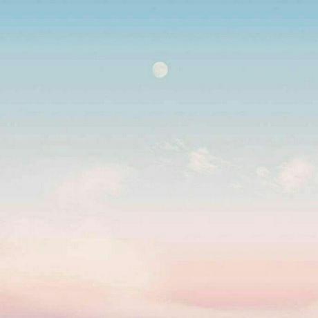 @fxzjshm