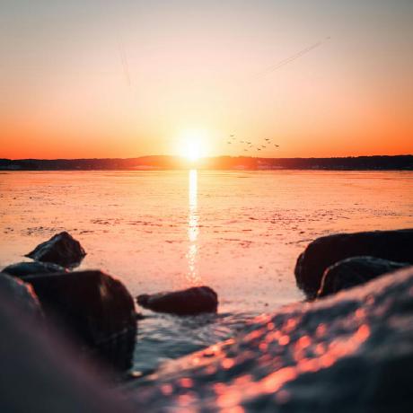 @markusVJH