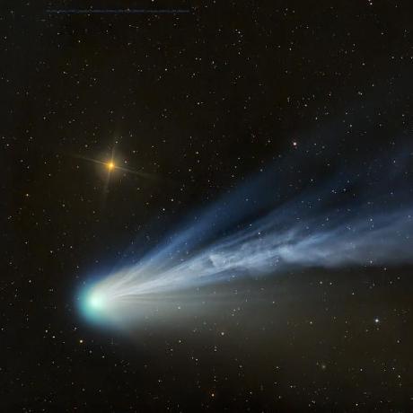 @anonymousgrasshopper