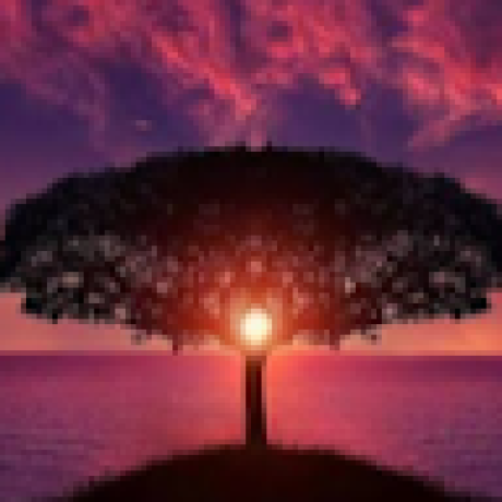 @Emirhan-4412