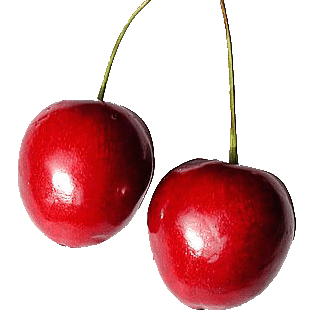 @ginjeira