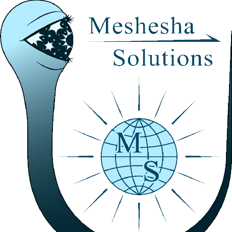 @Meshesha-Solutions