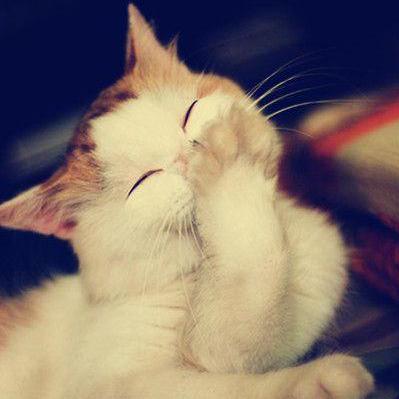 @huhuidonginlulunote