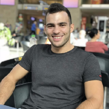 @RoyLeibo