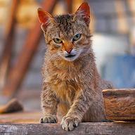 @ducnguyenenterprise