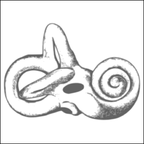 @AuditoryBiophysicsLab