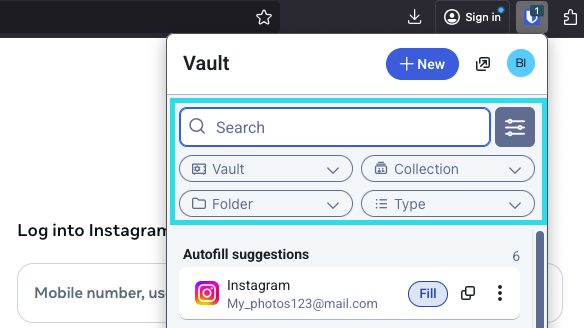 Browser extension filters and suggestions