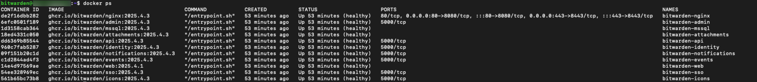Docker healthy