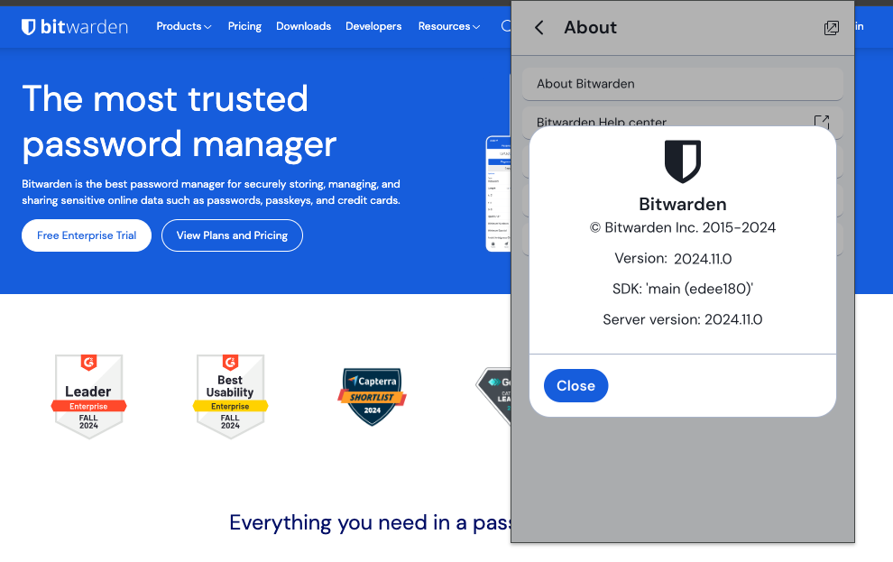 Browser extension version