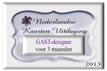 Ik was gastdesigner
