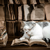 [Book Review] Patent Claims: Interpretation, validity and infringement