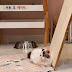 Never Too Late: If you missed the IPKat last week!