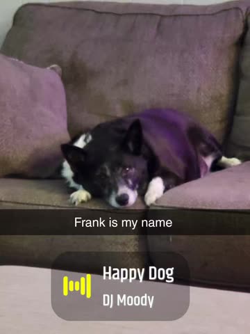 Looking For My Queen For Life