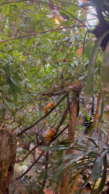 M4LIFE!~🏐🍊🧡🌸🌷