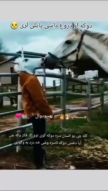 ➳ᷧ͢𝄞❤⃟Mohammad 💚