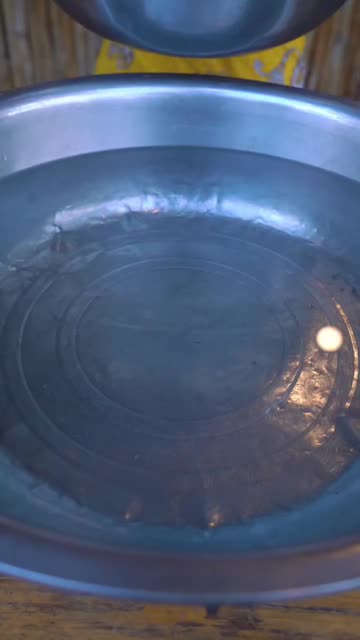 ♥️💕💕Mayuri 💕💕♥️🇮🇳