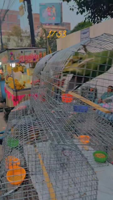 Princepandey 😈😈 ब्रह्मण⛳⛳