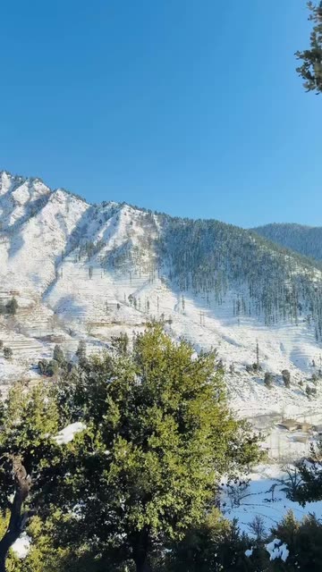 💸 Awais ❤️‍🩹