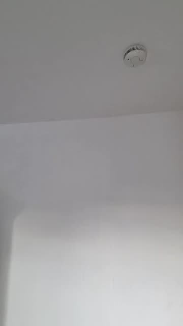 Reptile Discoveries / Gaming