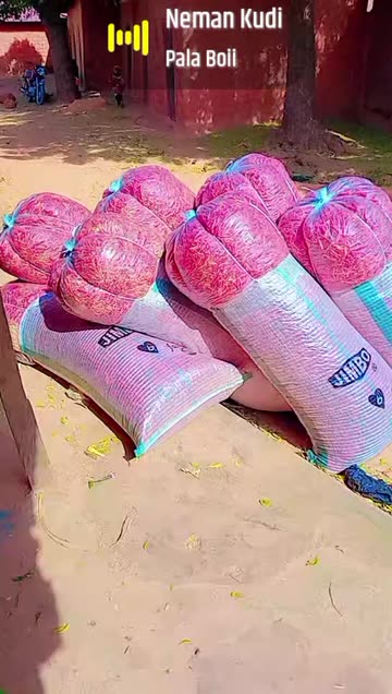 yusufusmanibrahim2024@gmail.co