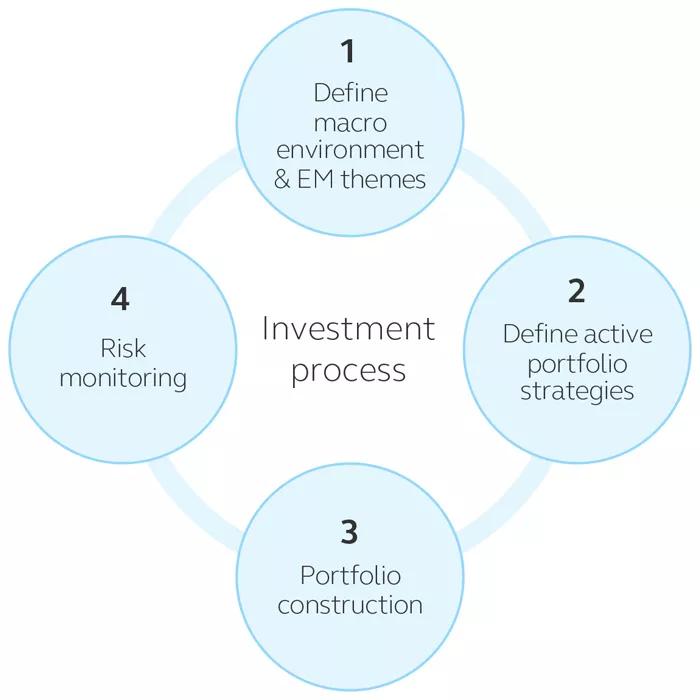 Inforgraphic Finisterre investment process