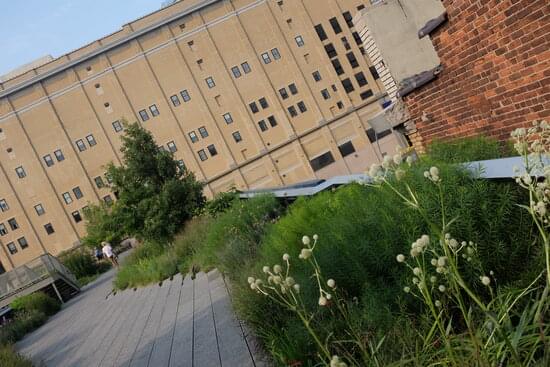 The High Line