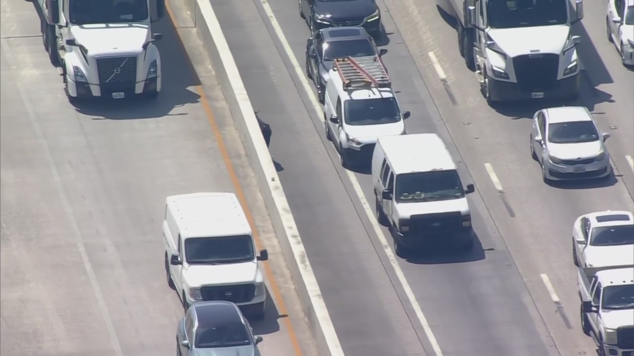 FULL: Cows run loose on I-45 in Houston