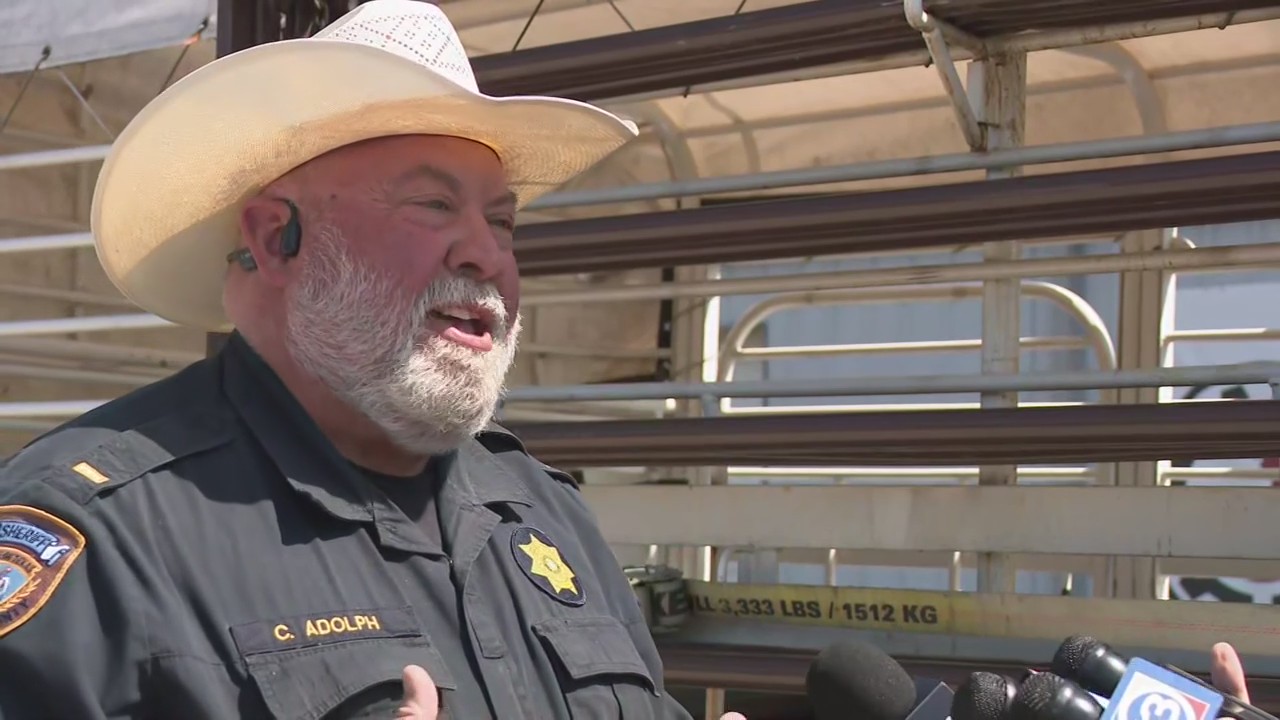 FULL: Cattle loose in Houston press conference