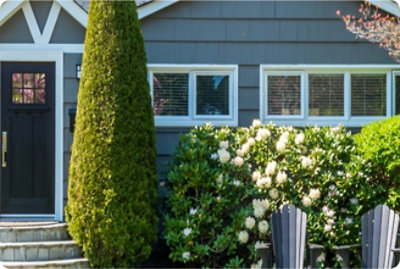 高い木と茂みのある家。