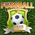 Fussball 2015