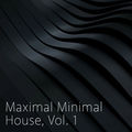 Maximal Minimal House, Vol. 1