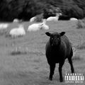 Black Sheep's First Iteration