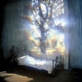 Trees (Nyrus Mix)