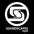 5 Years of Soundscapes